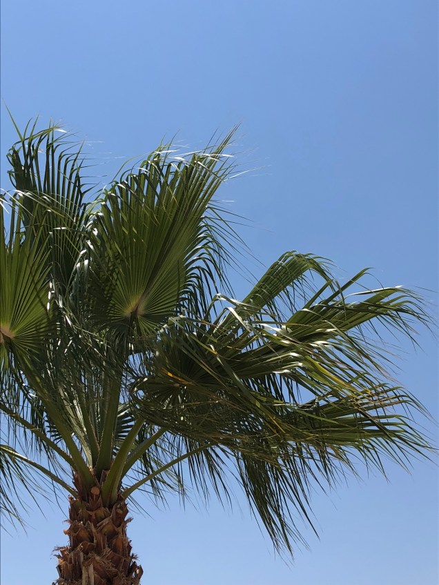 15A106E0-C7F8-4B50-8AEC-52E6D643DBB0